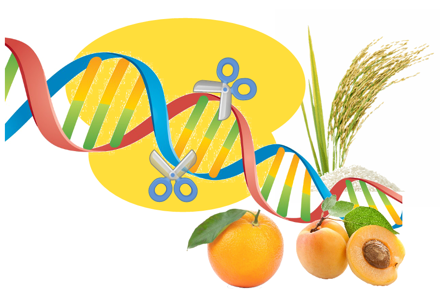  IVIA - WEBINAR “La revolución CRISPR y su potencial en agricultura” 13/04/21 a las 16:30h.