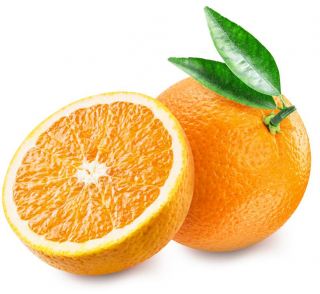 Lane Late Oranges