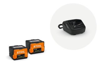 kit 2 baterias ak 20 + al 101