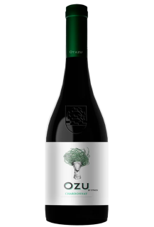 OZU BY OTAZU