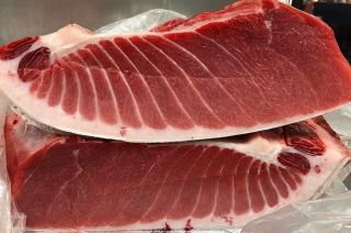 VENTRESCA DE ATUN A LA PLANCHA