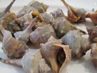 CANAILLAS HERVIDAS 200gr.