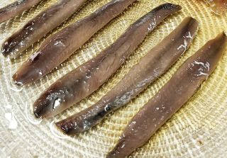 ANCHOAS del Cantábrico (6ud.)