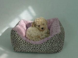 CAMA KING LEOPARDO Y ROSA