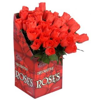 Rosa roja