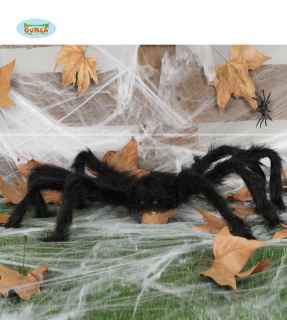 ARAÑA GIGANTE PELUDA