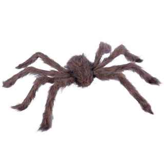 Araña peluda marrón