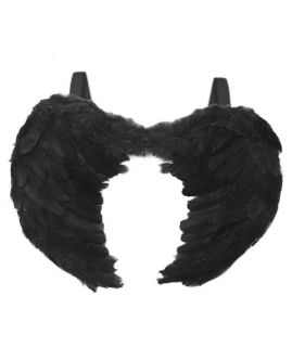 Alas plumas negras