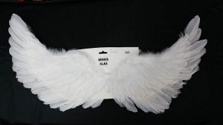 Alas blancas de plumas