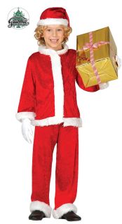 Disfraz de papa Noel
