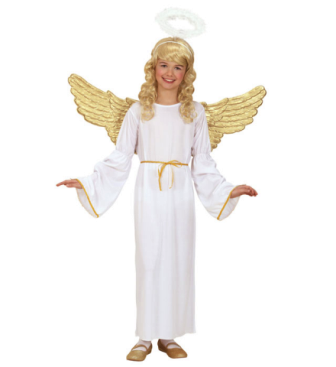Disfraz de Ángel