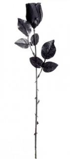 Rosa negra 44cm