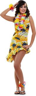 imagen Disfraz de hawaiana
