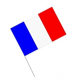 Bandera palo Francia