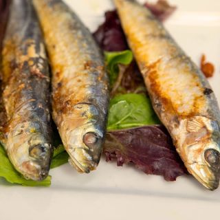 Sardinas plancha