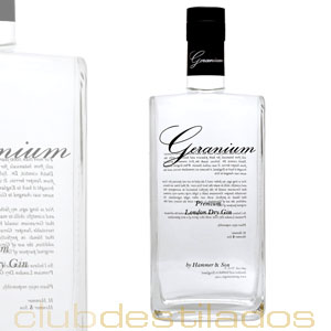 Ginebra Geranium