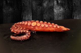 imagen Pulpo cocido -1pata-