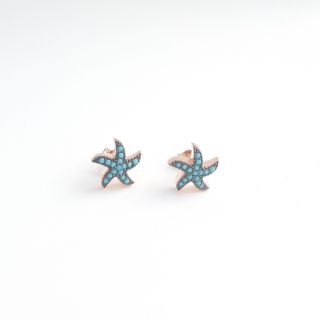 imagen Pendientes plata turquesa estrellas mar