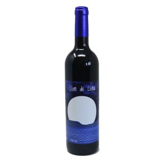 Llum de Lluna