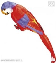 imagen Loro