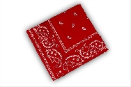Pañuelo vaquero rojo