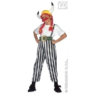 Disfraz de obelix
