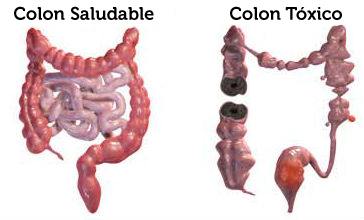 Colon Cleansing Espai Vital Benissa