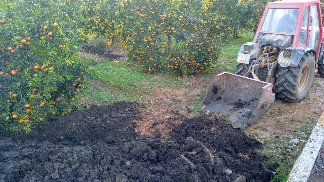 ORGANIC FERTILIZATION
