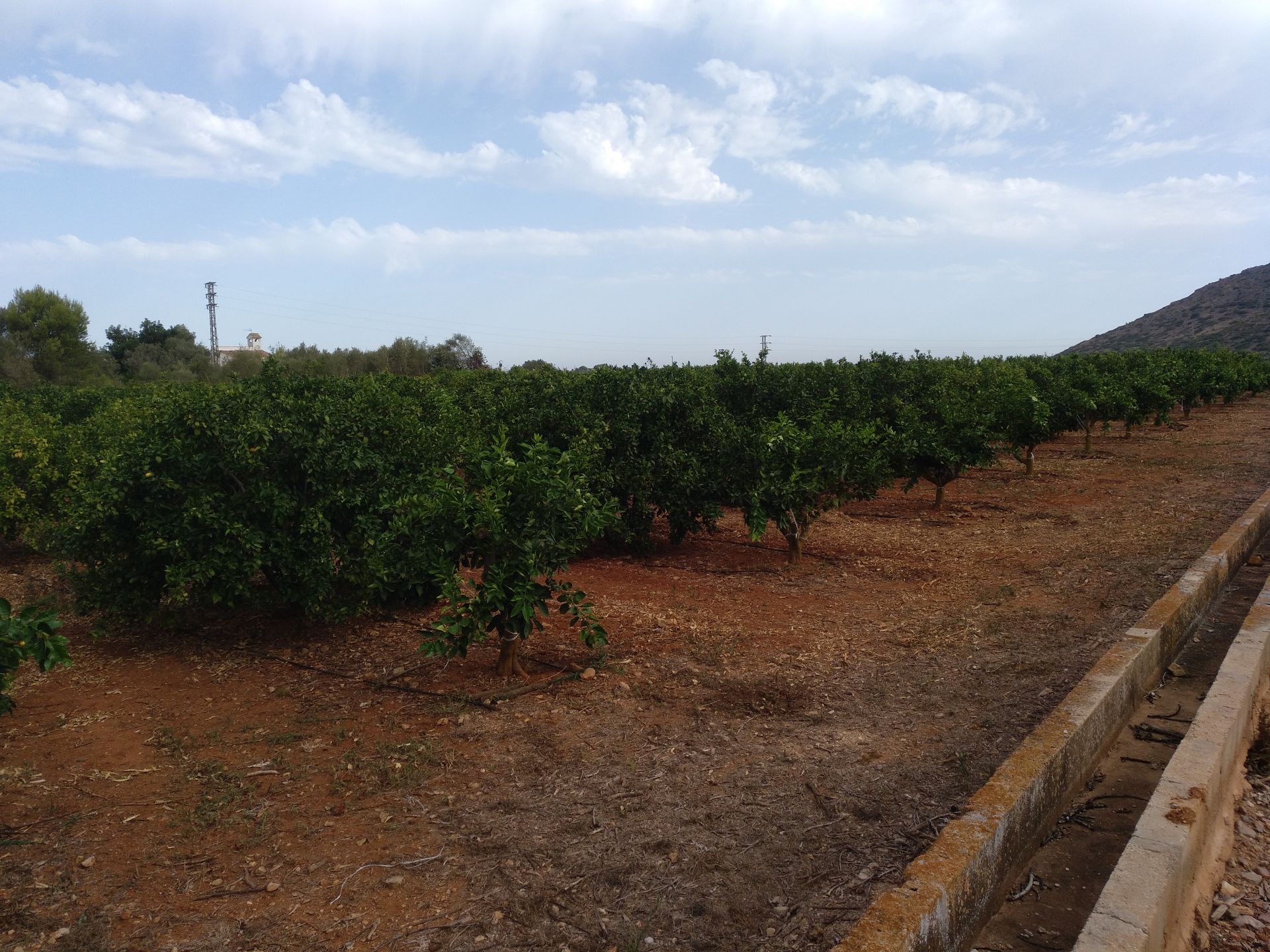 FIELD WORK
