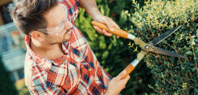 Las 5 herramientas básicas para poner a punto el jardín