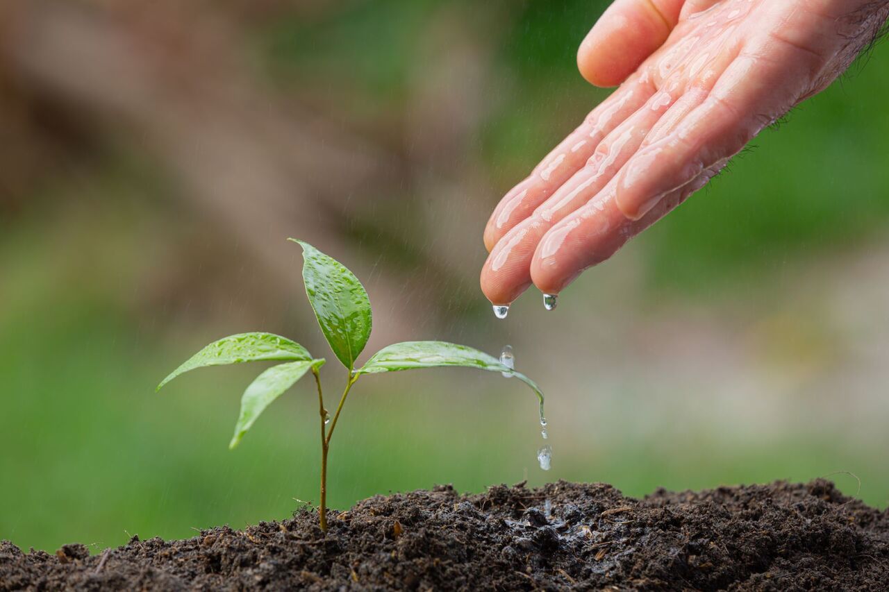 Sustainable Agriculture