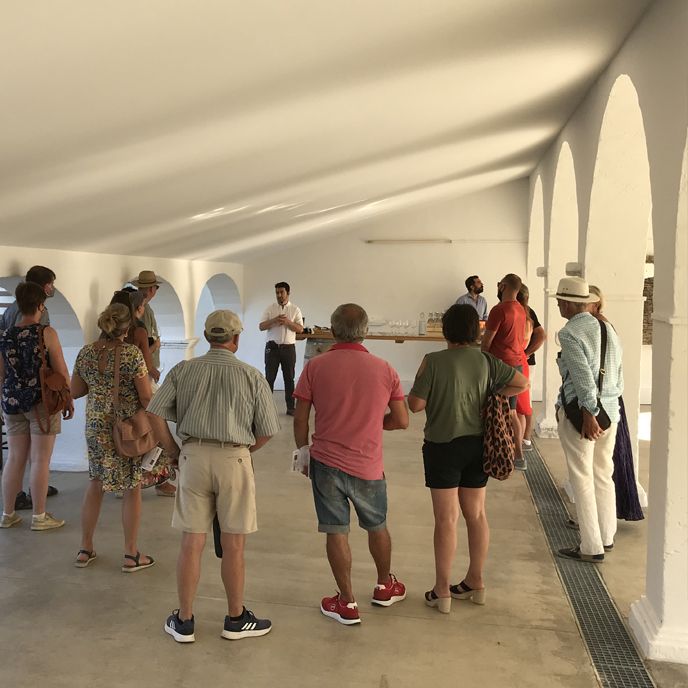 Visita bodegas en Denia y comarca