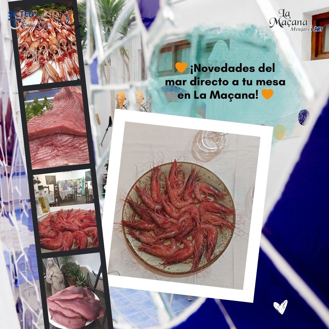  ¡Novedades del mar!
