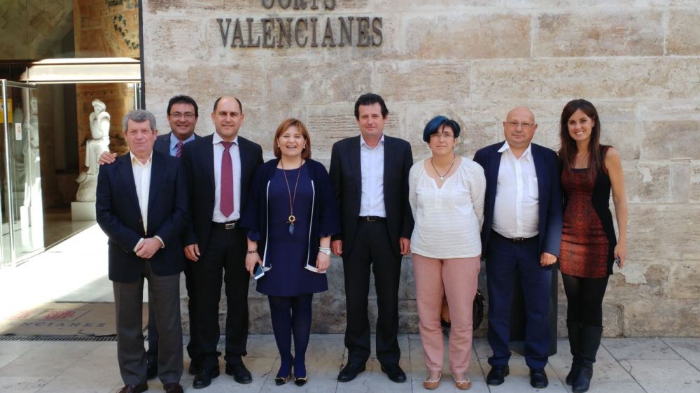 La gestió comarcal del fem, a les Corts Valencianes. 